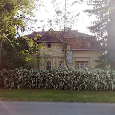 Villa Ricz Palić Exteriör bild