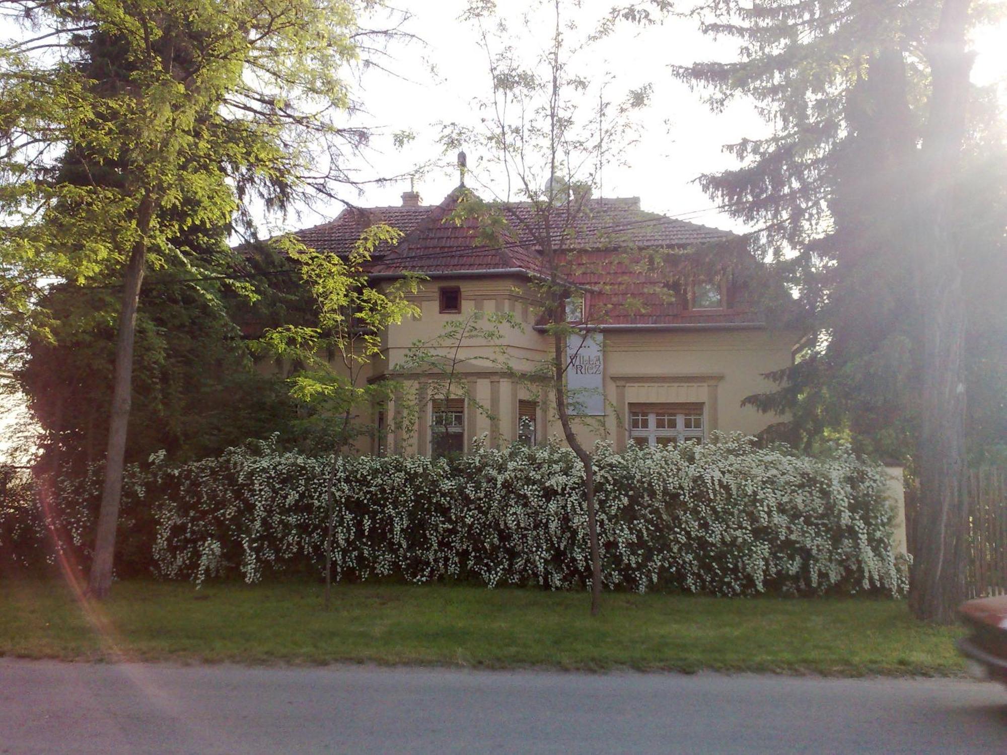 Villa Ricz Palić Exteriör bild