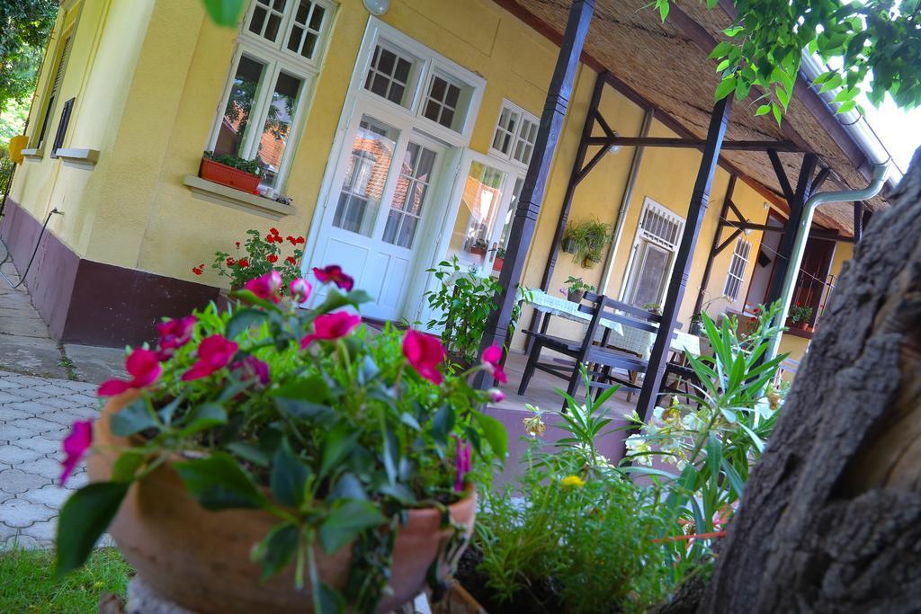 Villa Ricz Palić Exteriör bild