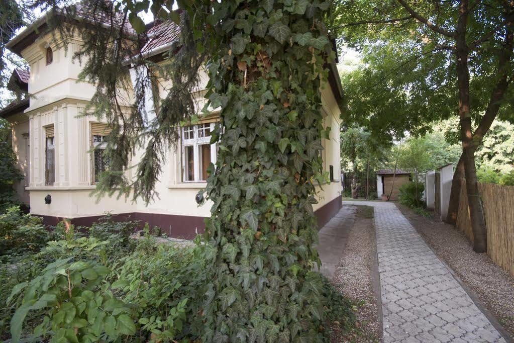 Villa Ricz Palić Exteriör bild